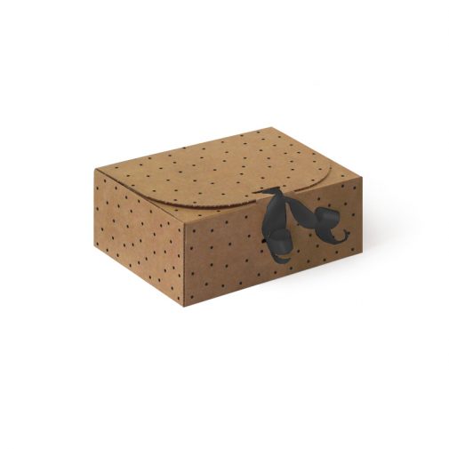 Caja de Cartón Pecas Negras CTF1704