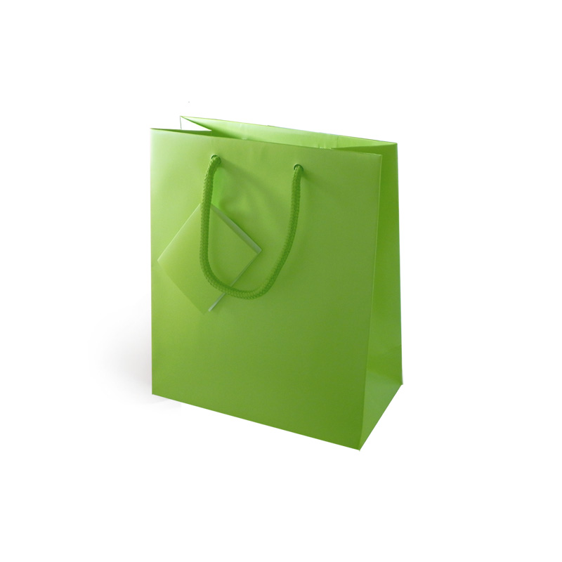 Bolsa de Papel Lux Verde