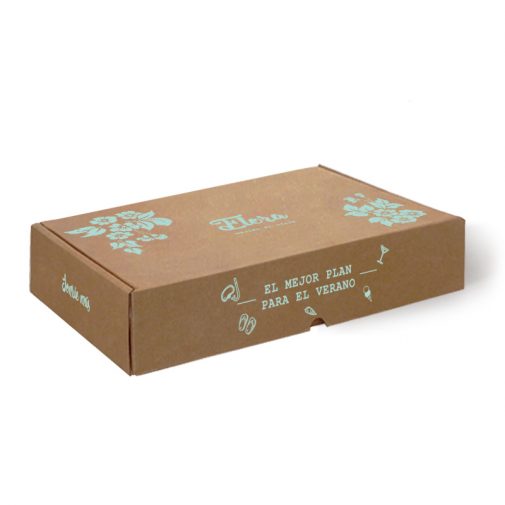 Caja Automontable 51x30x8,5 cm