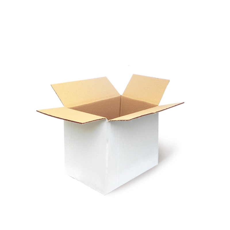 Caja de Cartón 31x21x20 CSB01